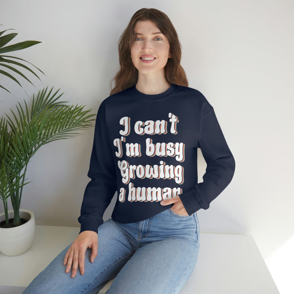 I Can't I'm Busy Growing A Human sweatshirt, Funny Pregnancy sweatshirt, mom sweatshirt, funny mama sweatshirt, Premium Men Woman sweatshirt